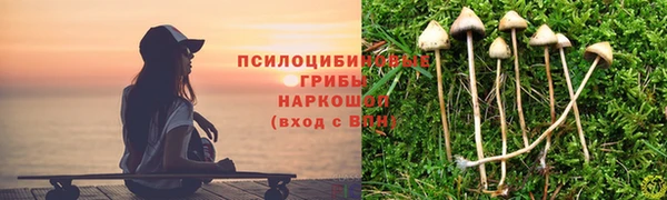 скорость Рославль