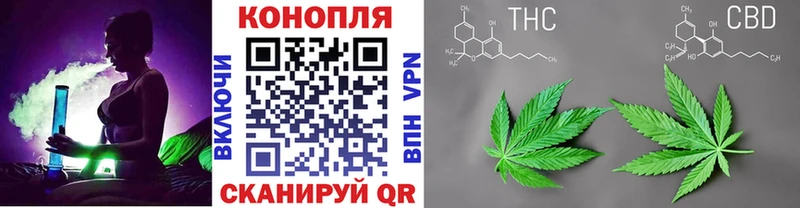 Купить  Ладушкин  Бошки марихуана сатива 